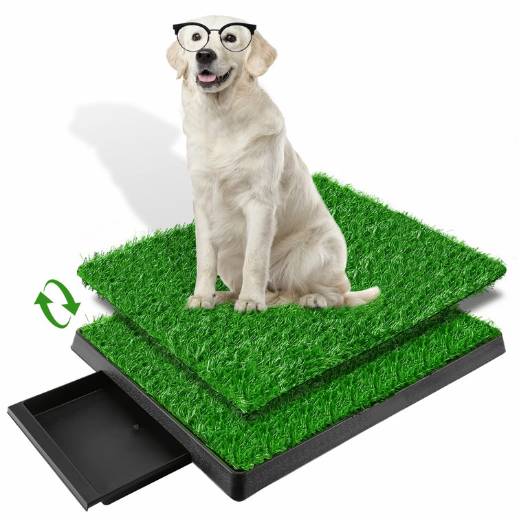UNIQUE^ Dog Grass Pad With Tray, Puppy Potty Training Grass, Pet Toilet
